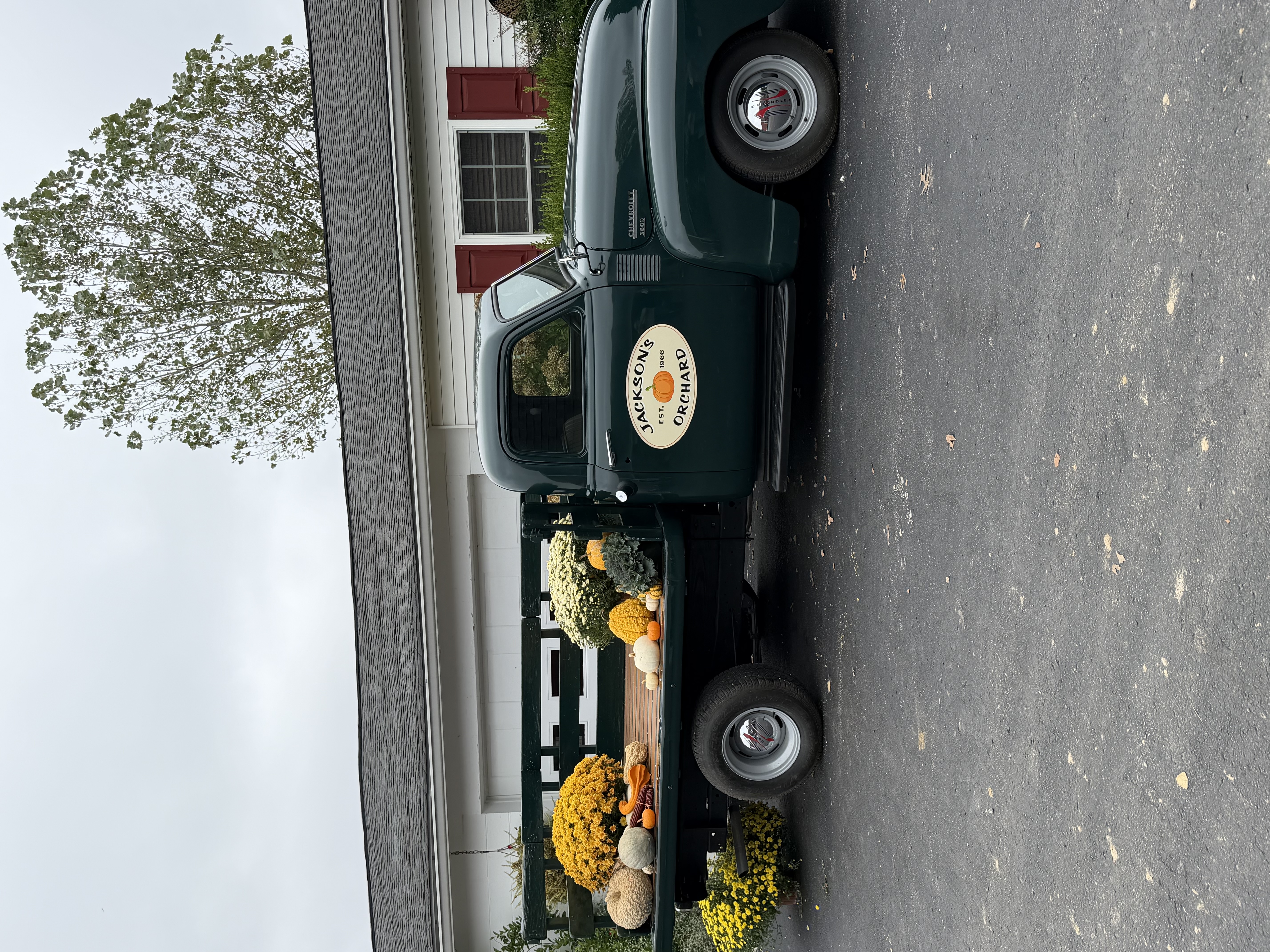 Jacksons Orchard
