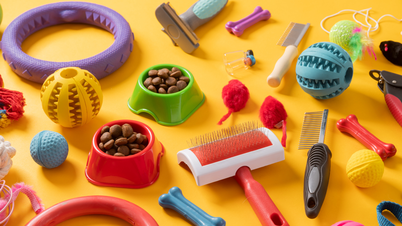 Pet toy clutter