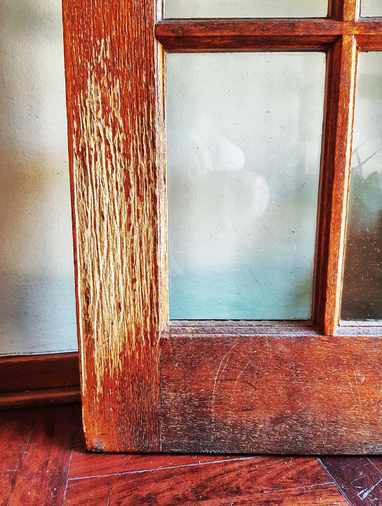 Pet scratched door
