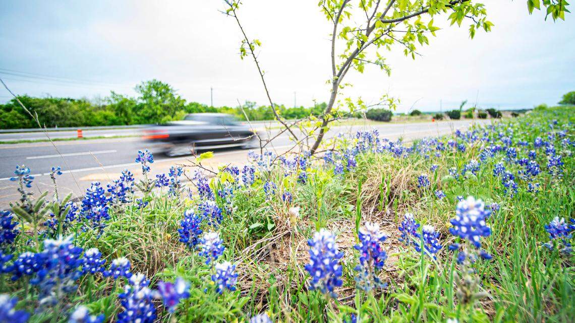 Best Spring Road Trips from Boerne Texas Hill Country Family Adventure