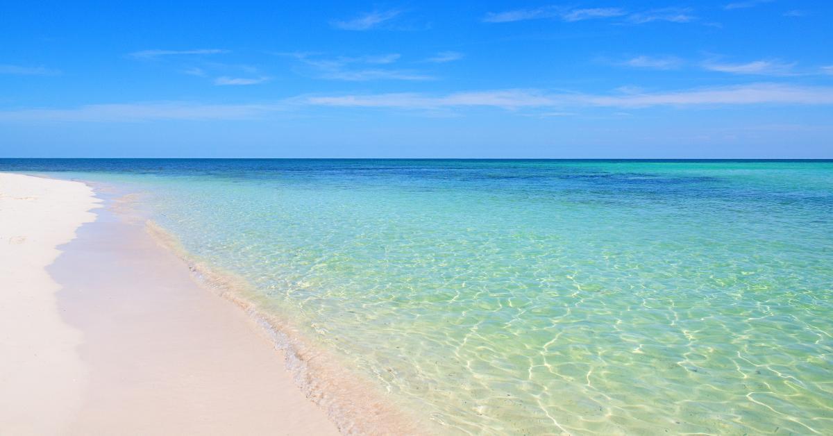 Florida's Top-Rated Beaches! header image.