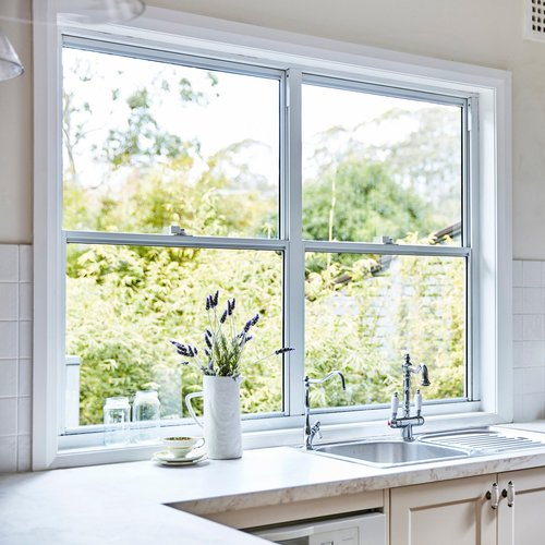 Pests of Summer header image.