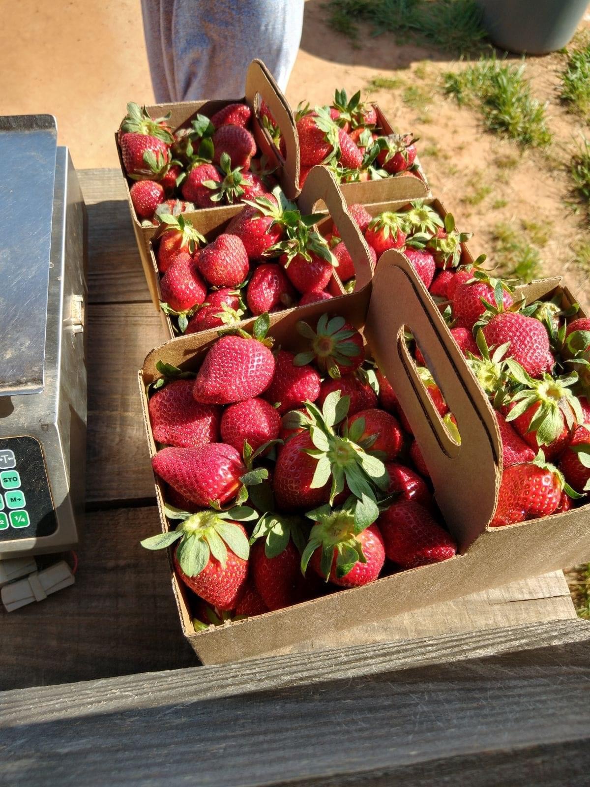 Thanks for coming out!