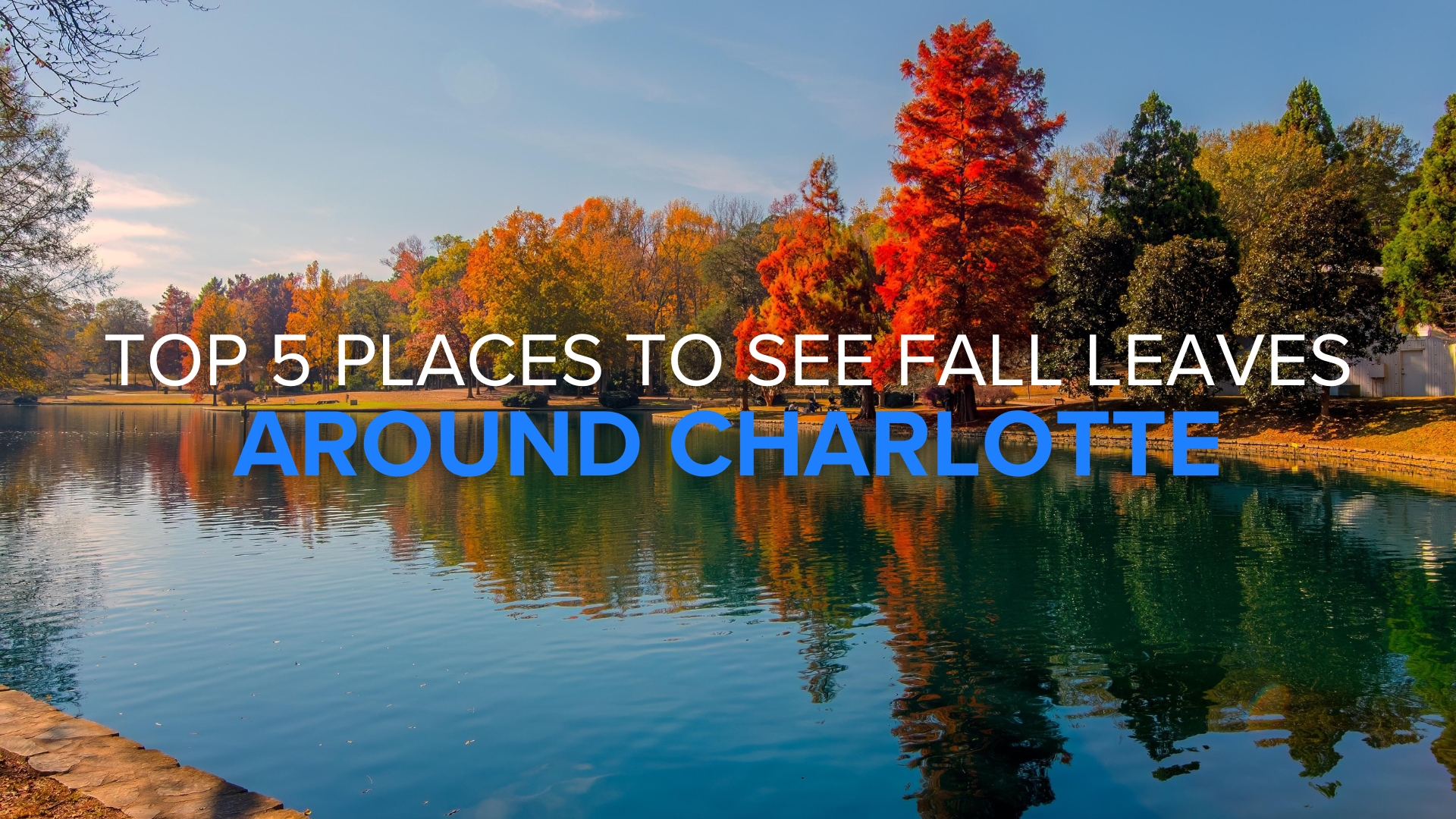 Colorful fall leaves on trees in Charlotte, North Carolina park