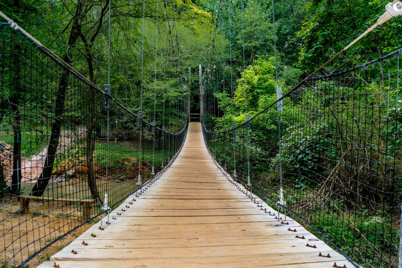 Pedestrian suspension bridge at Anne Springs Close Greenway.
