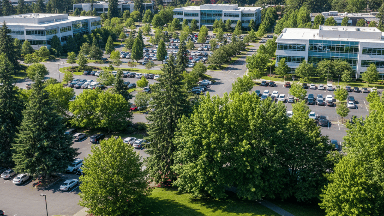 The Bothell Job Market: What You Need to Know in 2026 header image.