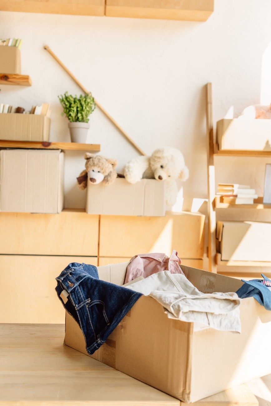 Cardboard box filled with clothes in sunlit room. Shelves with boxes, books, potted plants, and teddy bears in the background. Cozy, organized atmosphere.