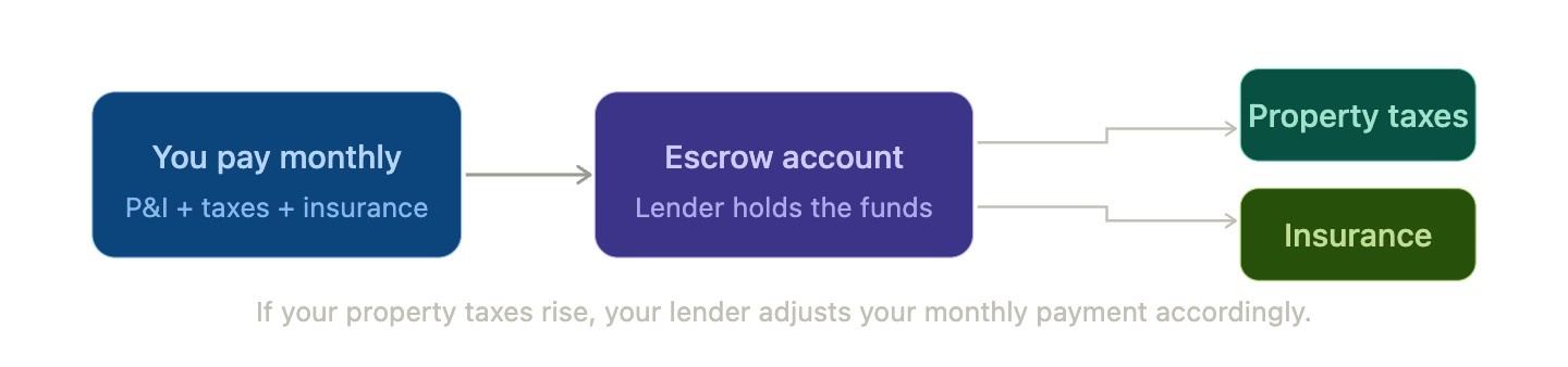 Flowchart illustrating the escrow process. Monthly payments go into an escrow account, which distributes funds to cover property taxes and insurance.