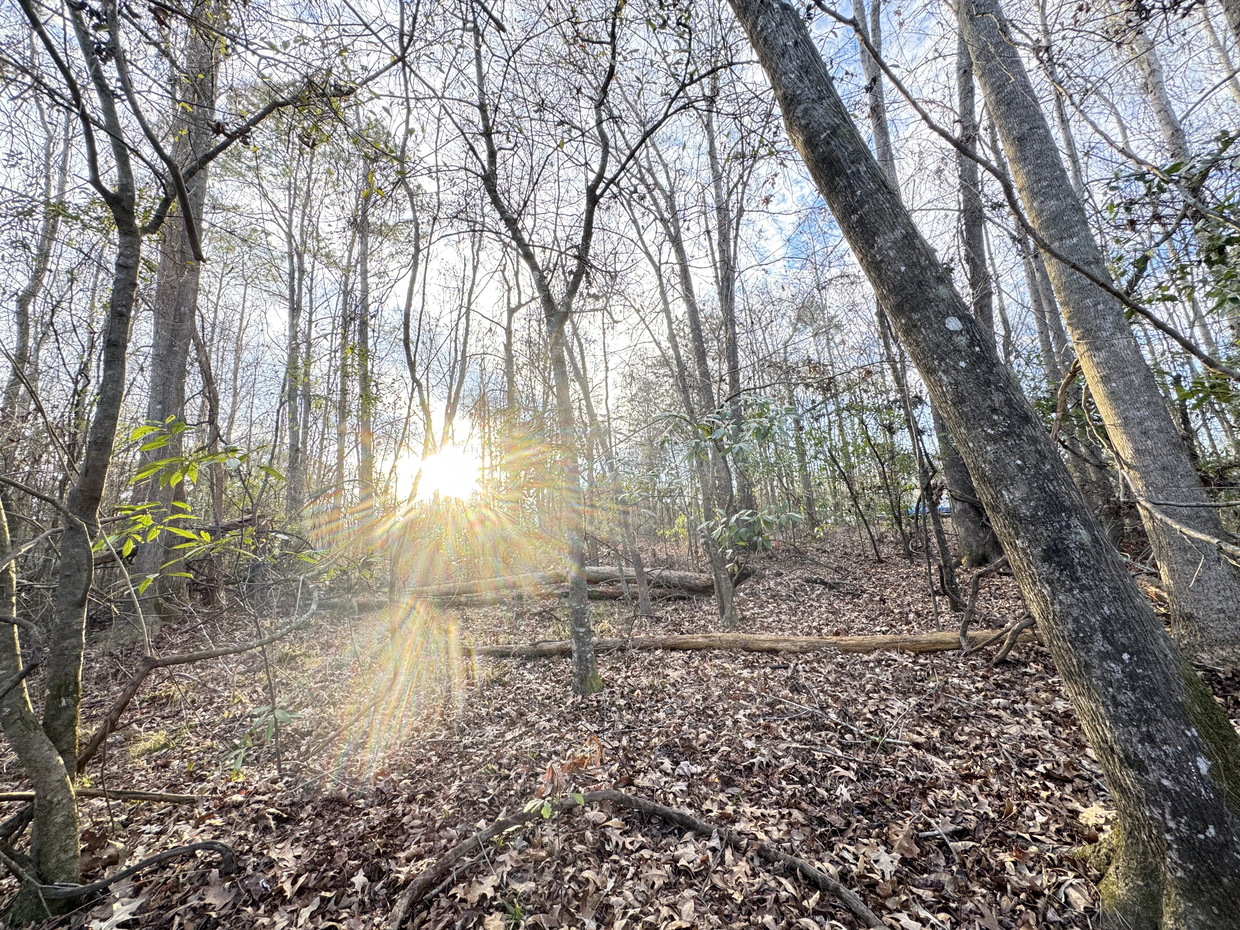 Vacant land