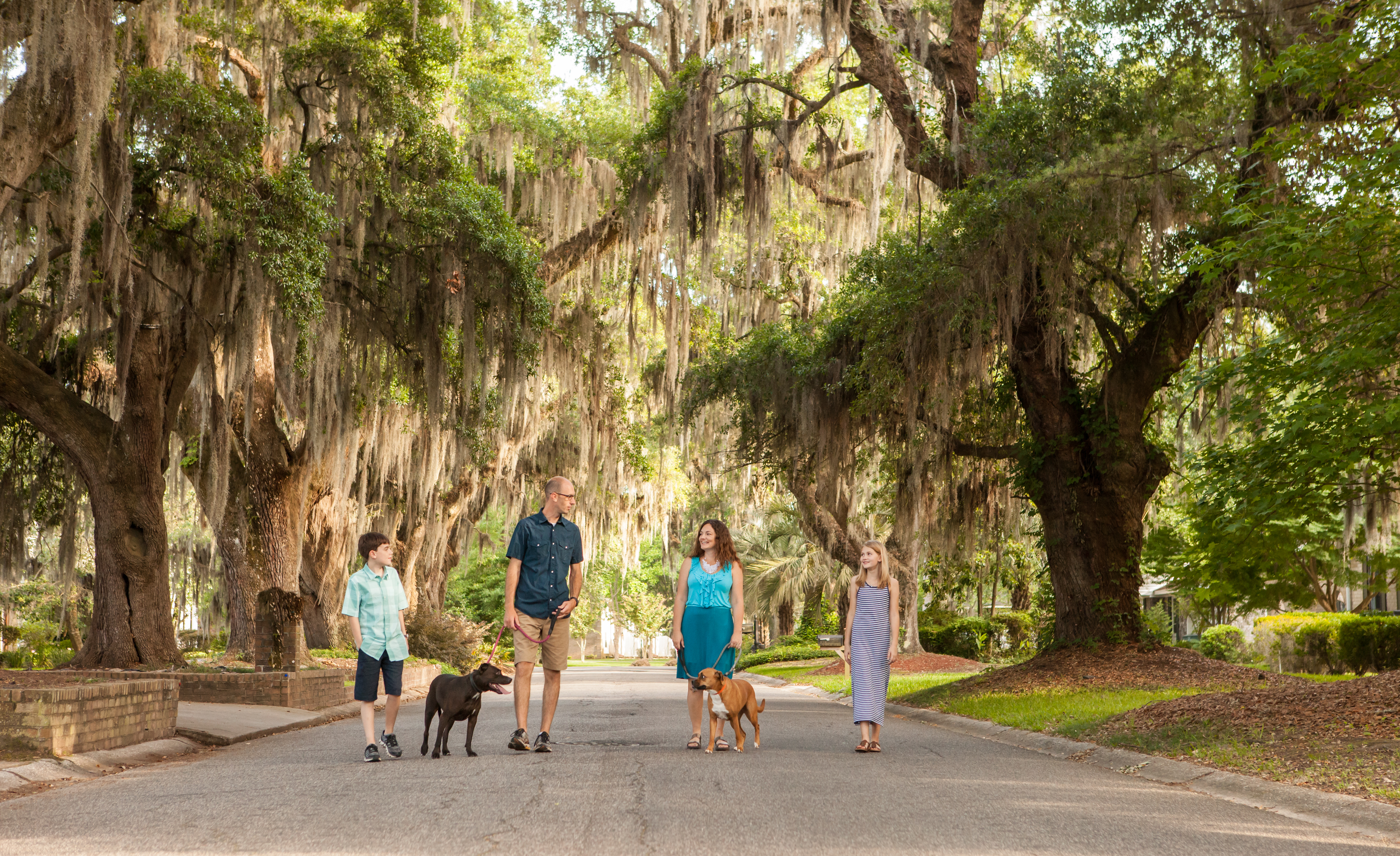 Family walking with dogs down neighborhood street under live oaks