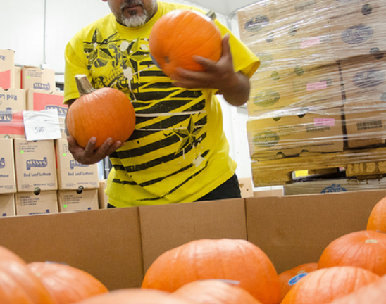 Preparing to Move to Anchorage: What to Do header image.