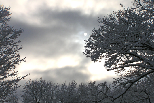 Five Ways to Maximize Minimal Winter Light header image.