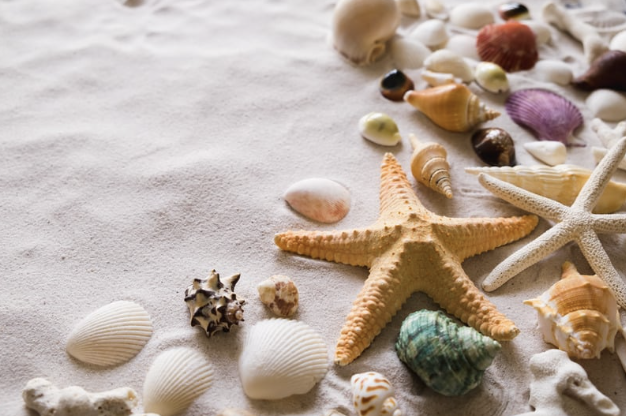 June Newsletter 2025 header image.