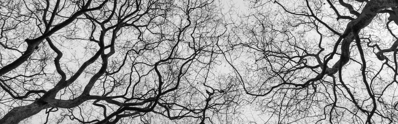 Three Locally-Haunted Properties to Check Out this Spooky Season header image.