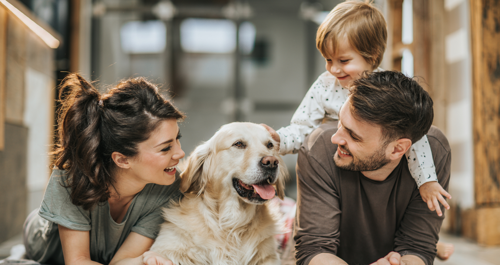 Nonfinancial Joys of Owning a Home header image.