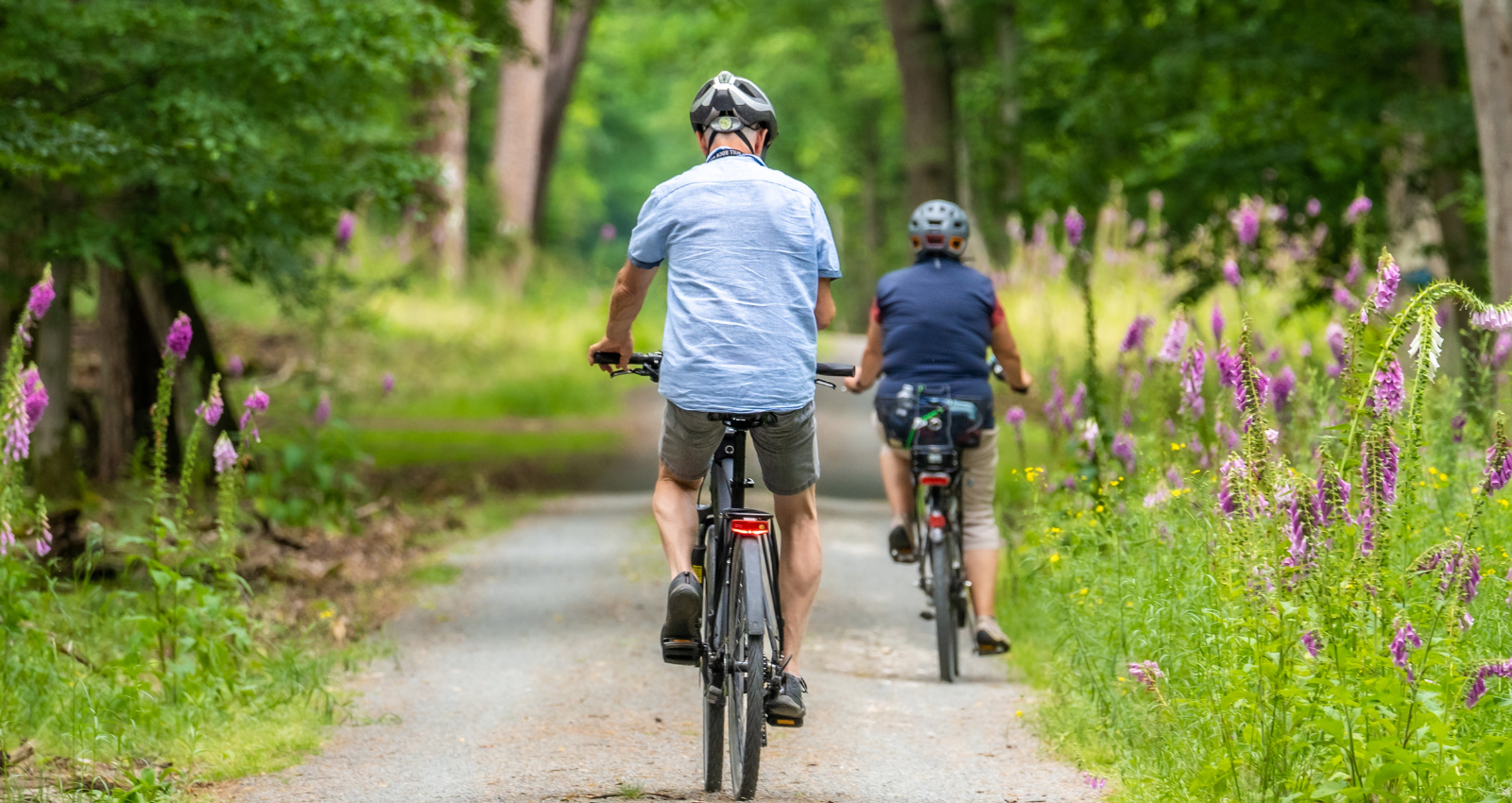 Neighborhood Series: Bryn Mawr, Minneapolis header image.