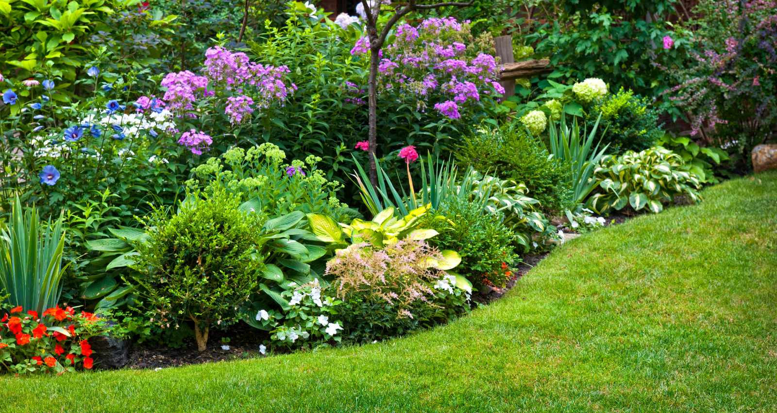 A Homeowner’s Guide to Yards header image.