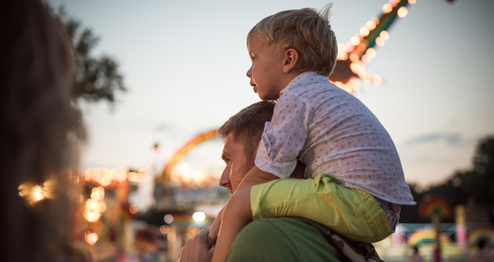 Life by the Fairgrounds header image.