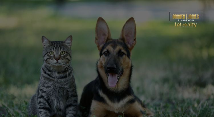 Moving with Pets: The Best Dog-Friendly Parks in Louisiana, Baton Rouge header image.