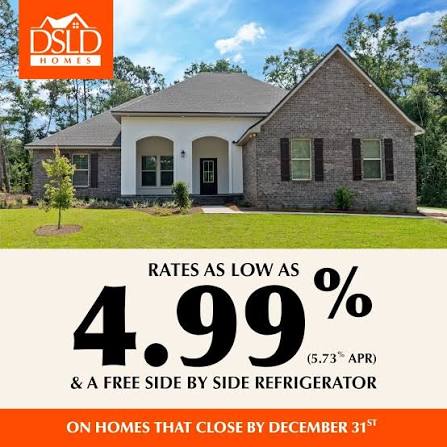 New Construction Spotlight: DSLD Homes header image.