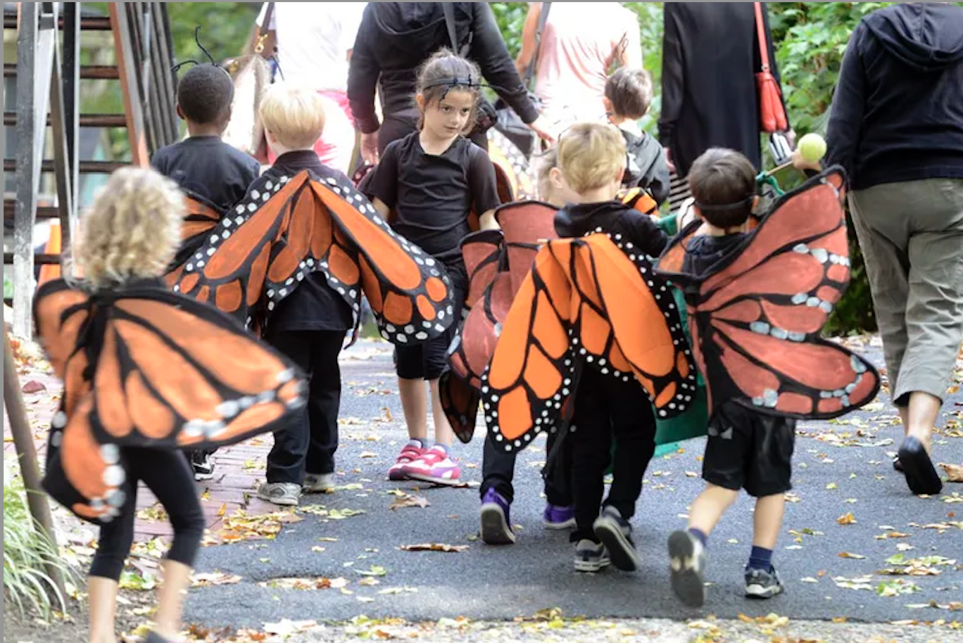 Monarch Festival header image.