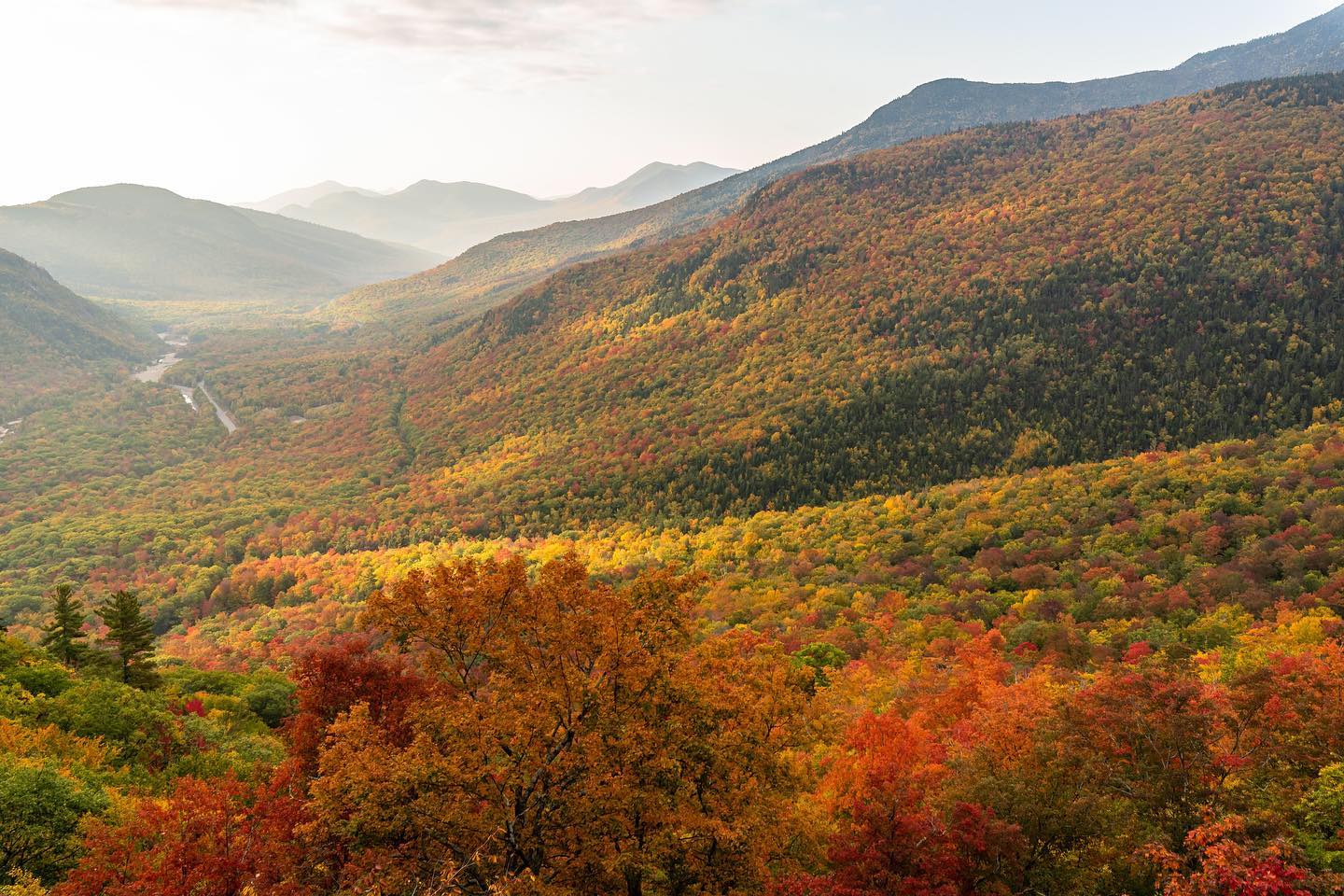 Autumn Foliage in the White Mountains