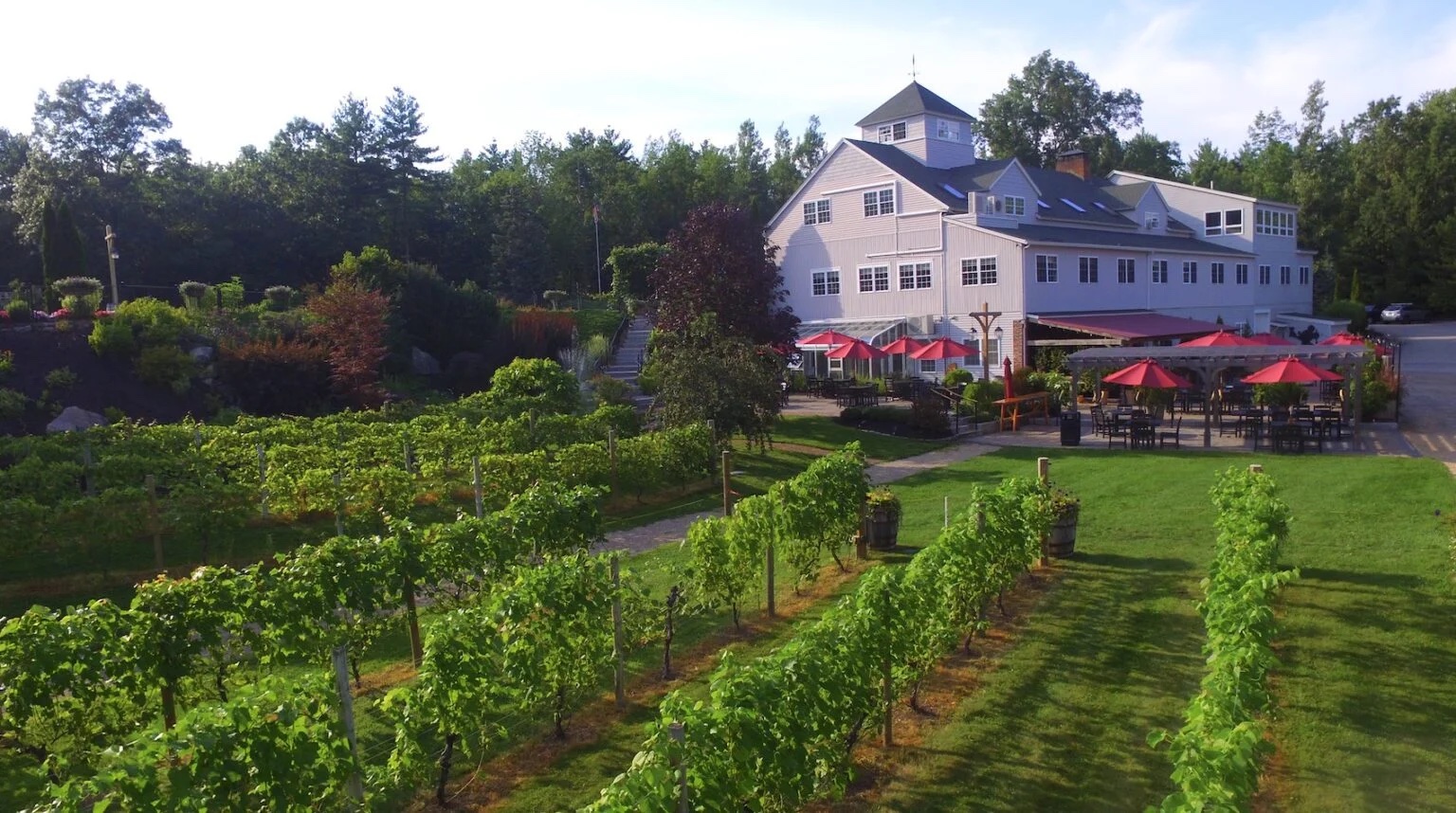 Vineyard & Wine Events header image.