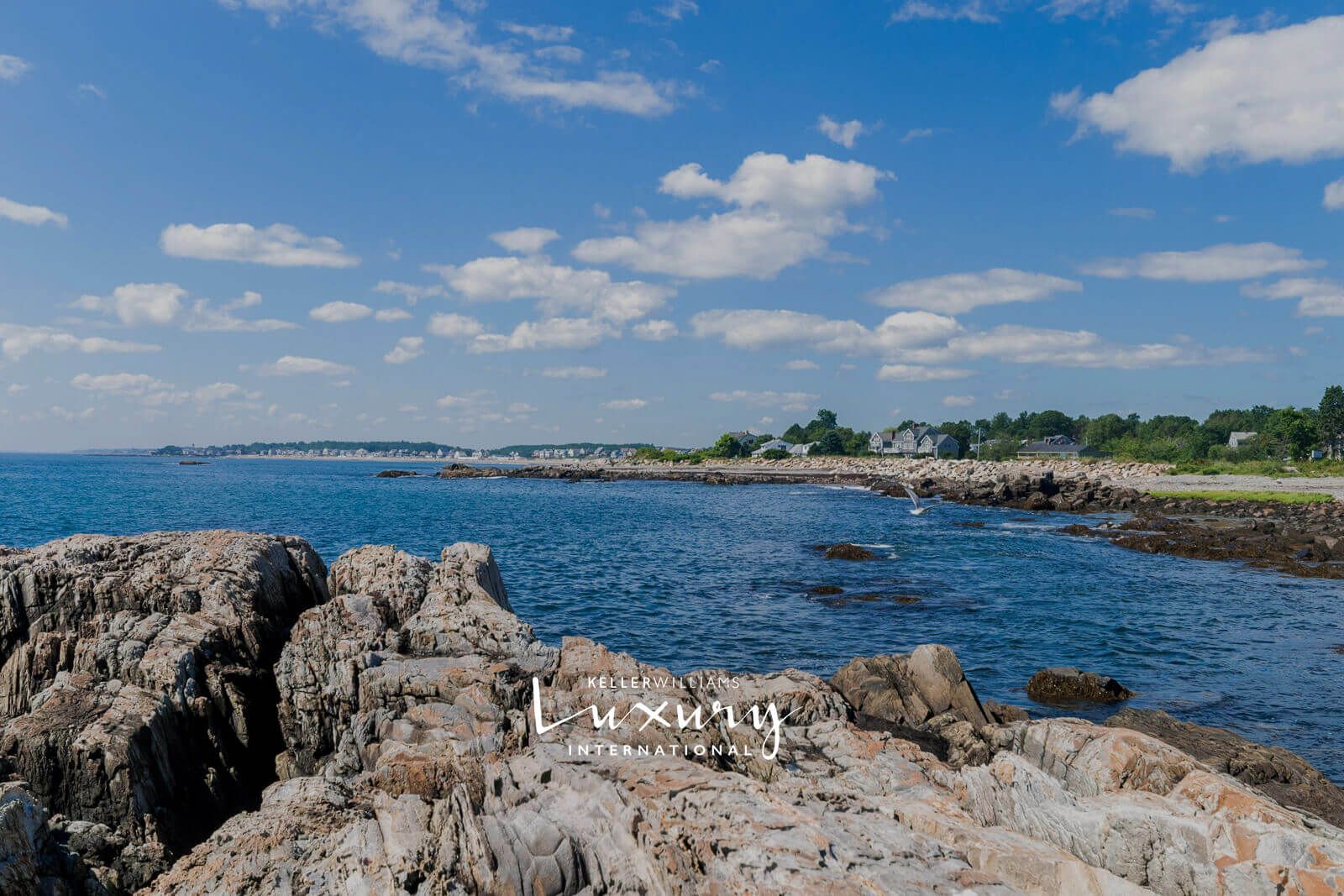 Phyllis Day Joins The Dow Group at Keller Williams header image.