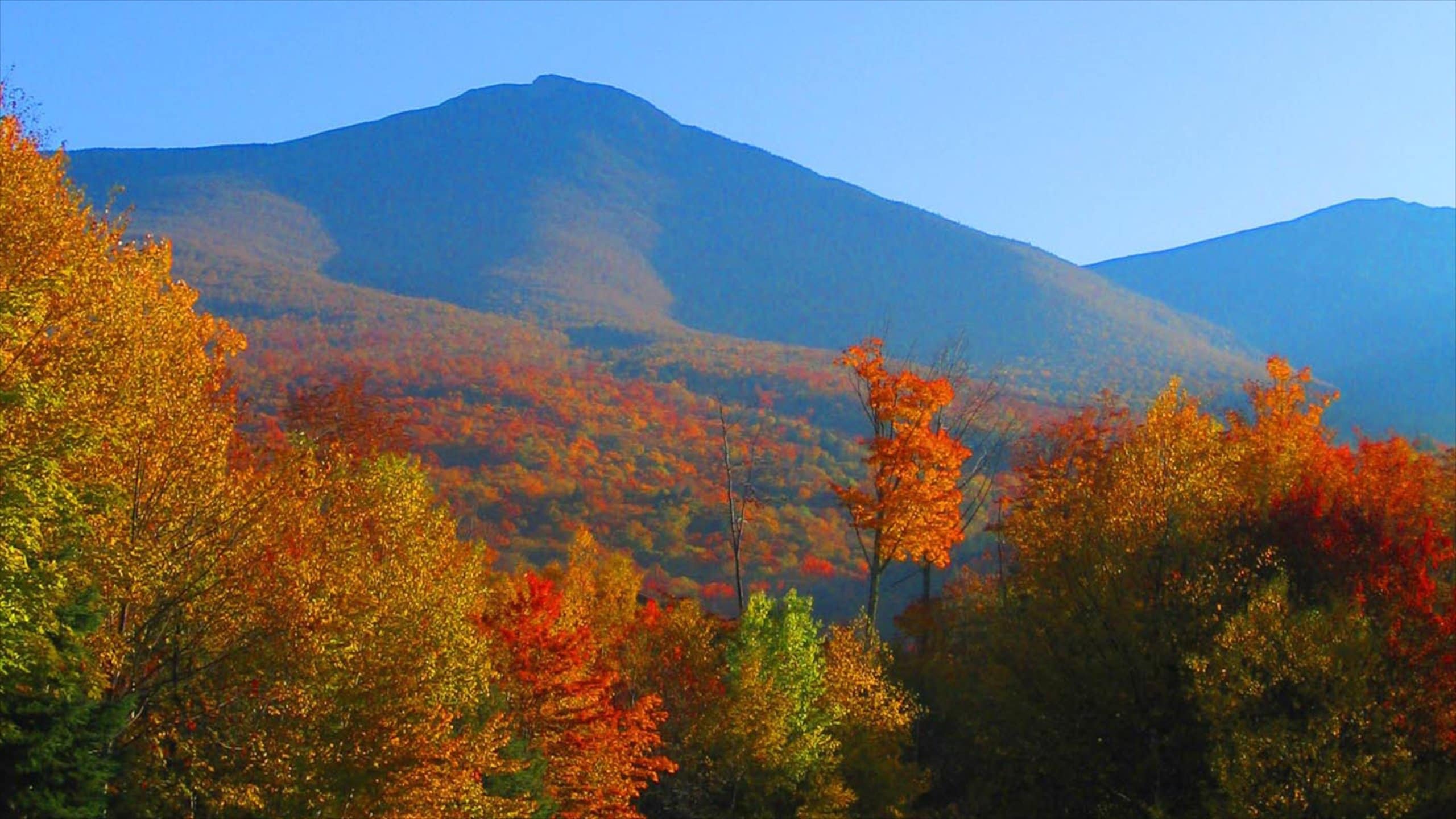 What’s Happening in the Bartlett New Hampshire Housing Market? – December 16, 2025 Update header image.