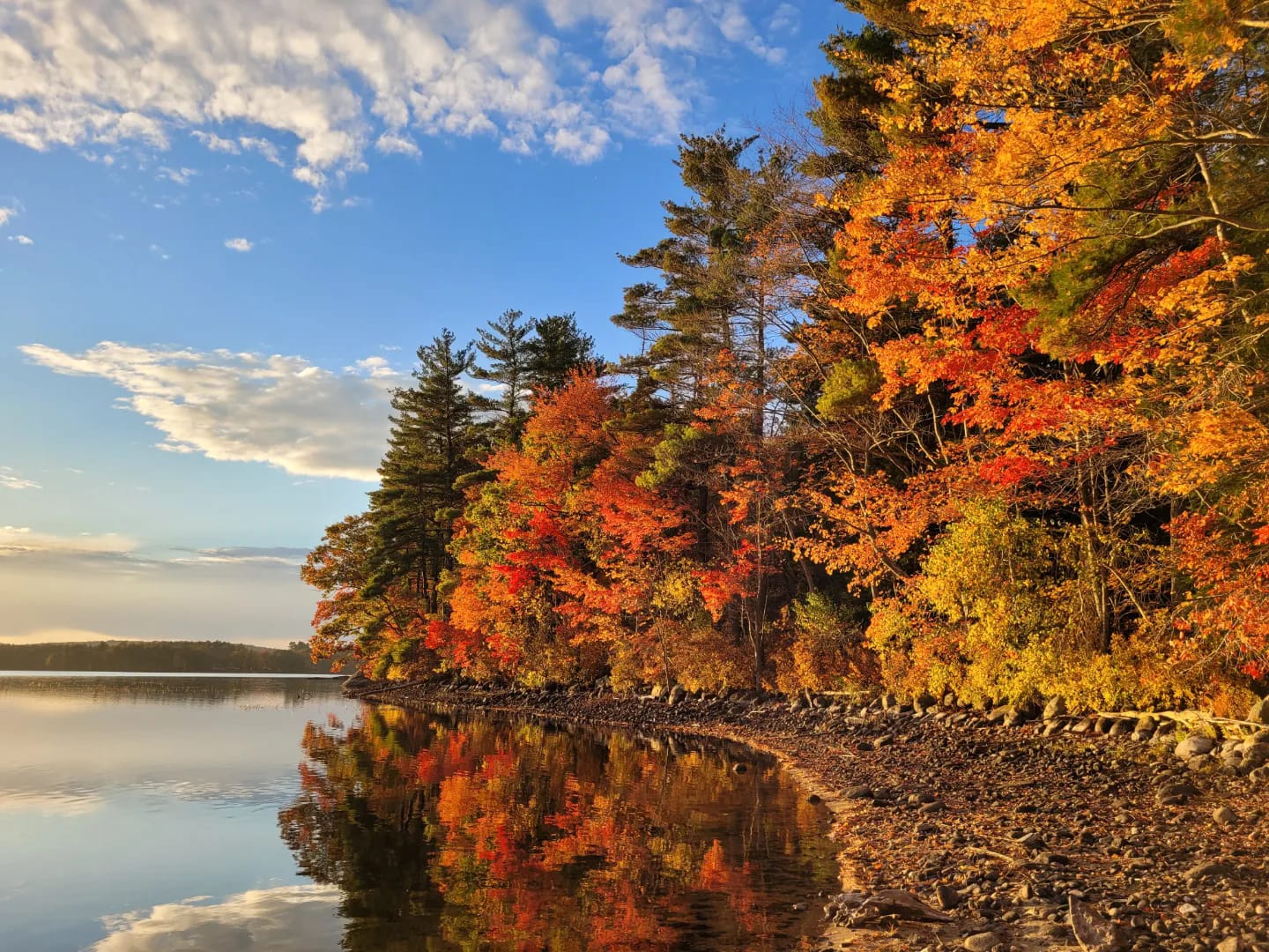 What’s Happening in the Auburn New Hampshire Housing Market? – December 16, 2025 Update header image.