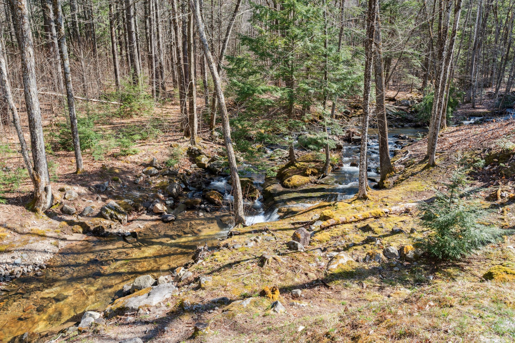 What’s Happening in the Brookfield New Hampshire Housing Market? – January 28, 2026 Update header image.