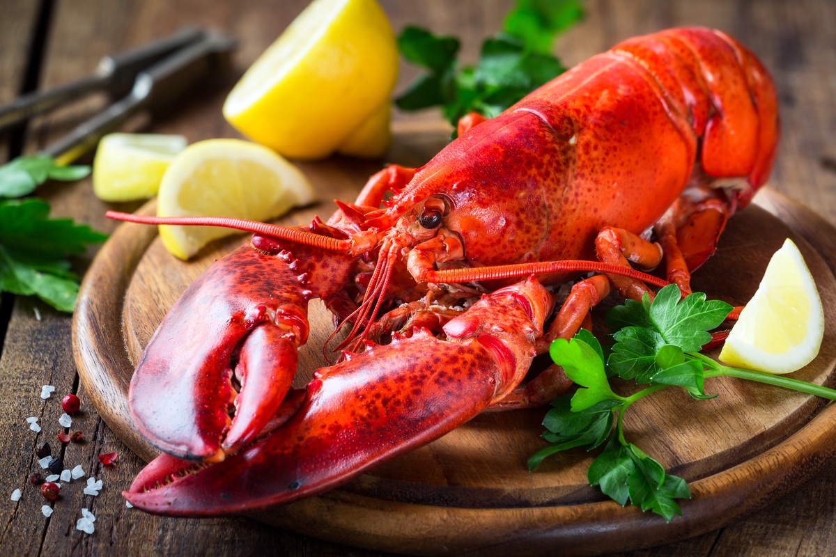 The Best Places to Eat Lobster in NH header image.