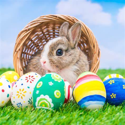 Where To Catch The Easter Bunny This Year header image.