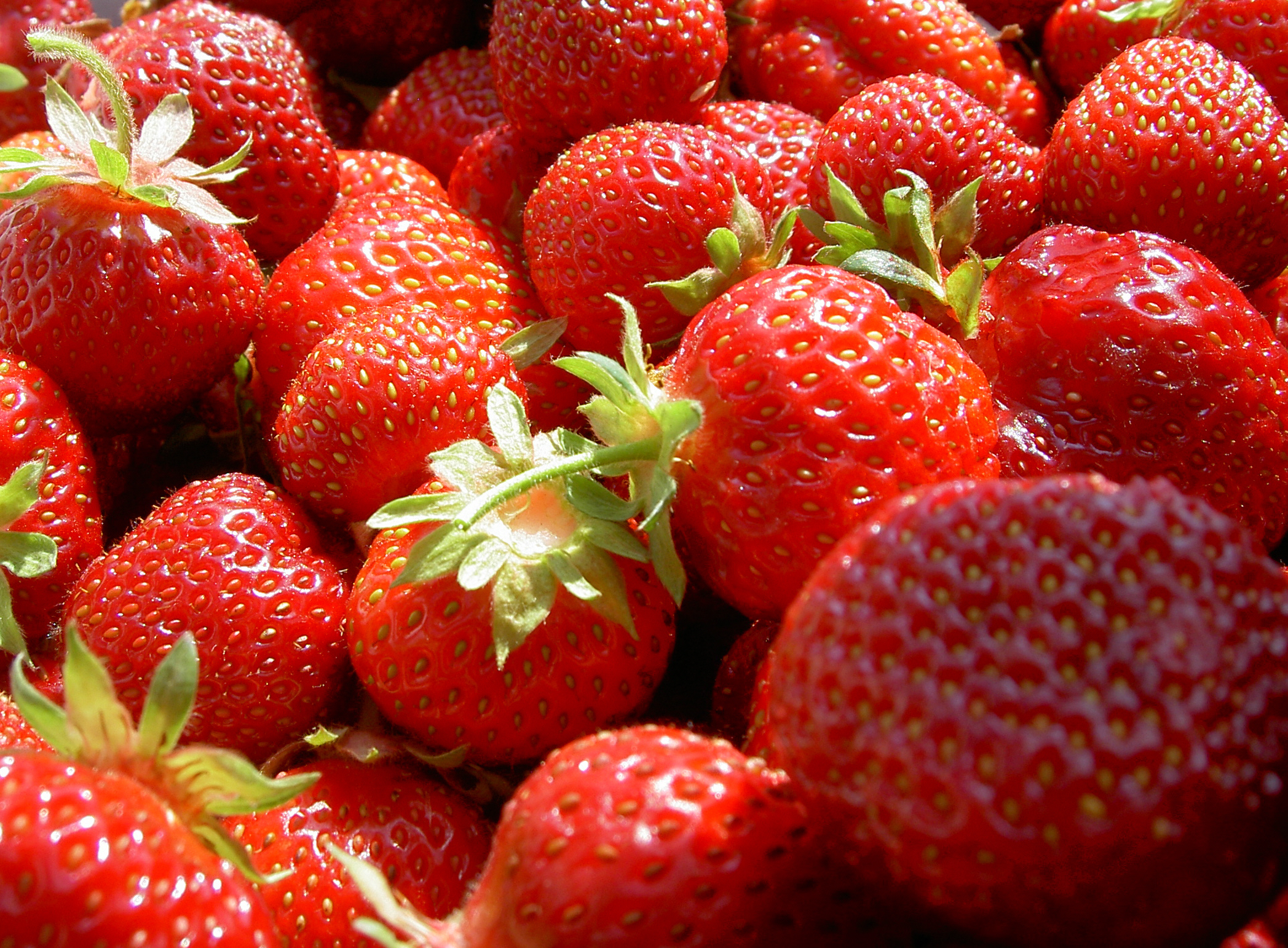 Perfect Time Of Year For Strawberry Picking header image.