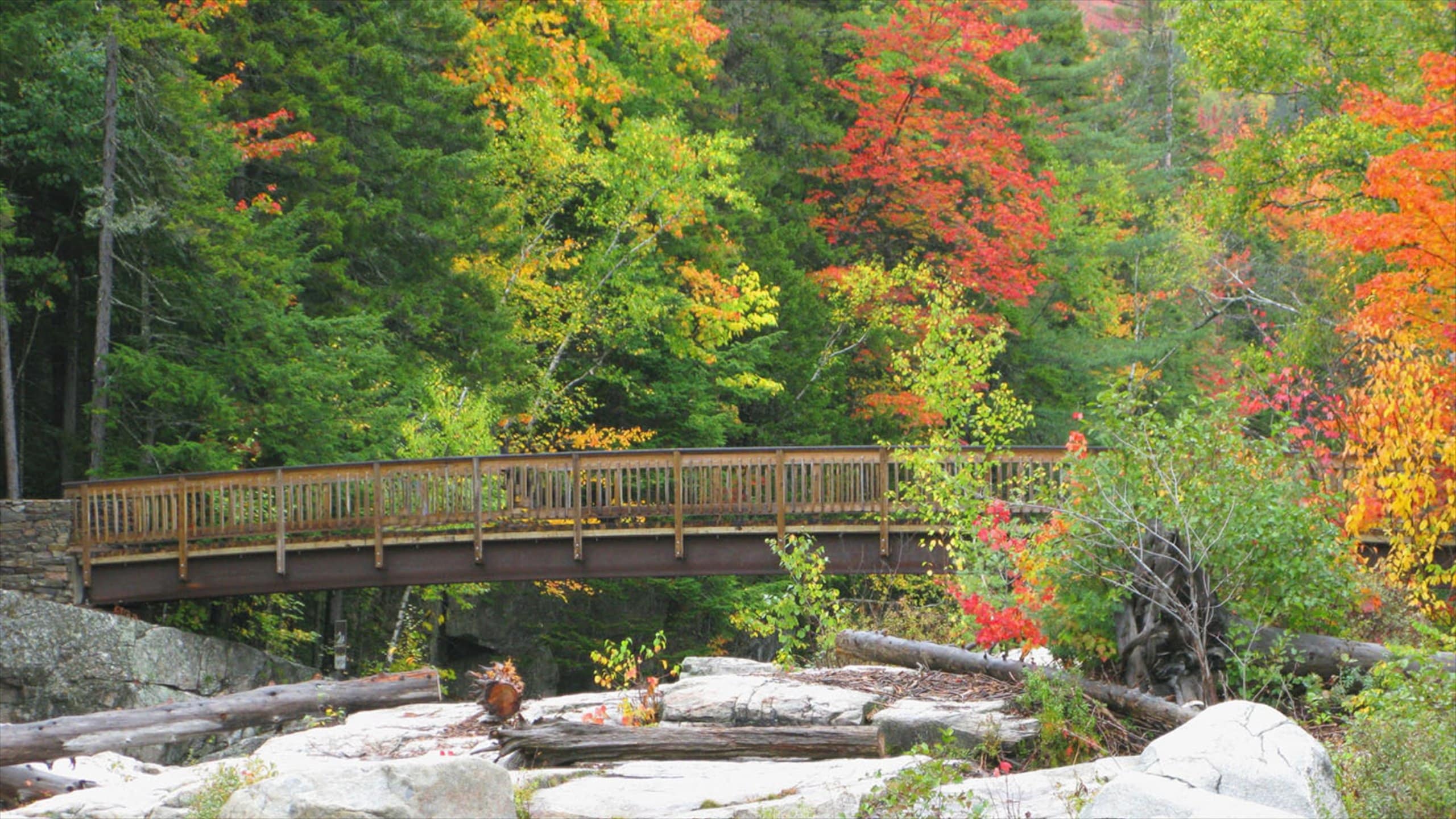 What’s Happening in the Bartlett New Hampshire Housing Market? – December 3, 2025 Update header image.