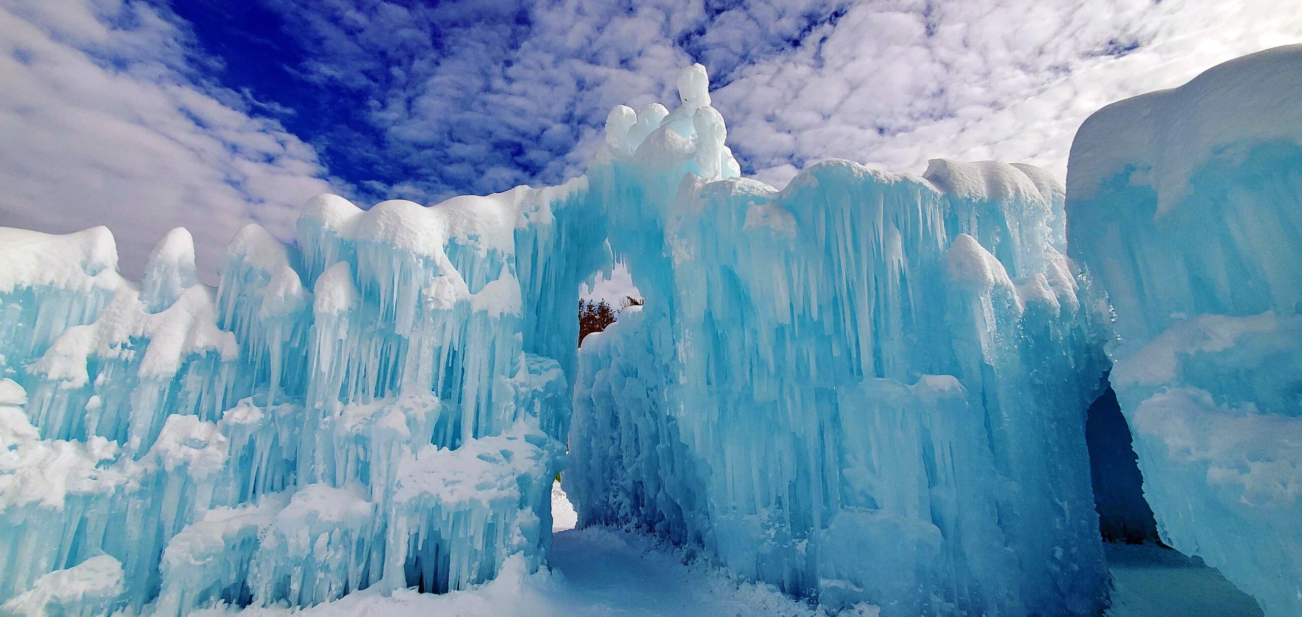 The Best Events Happening in January header image.