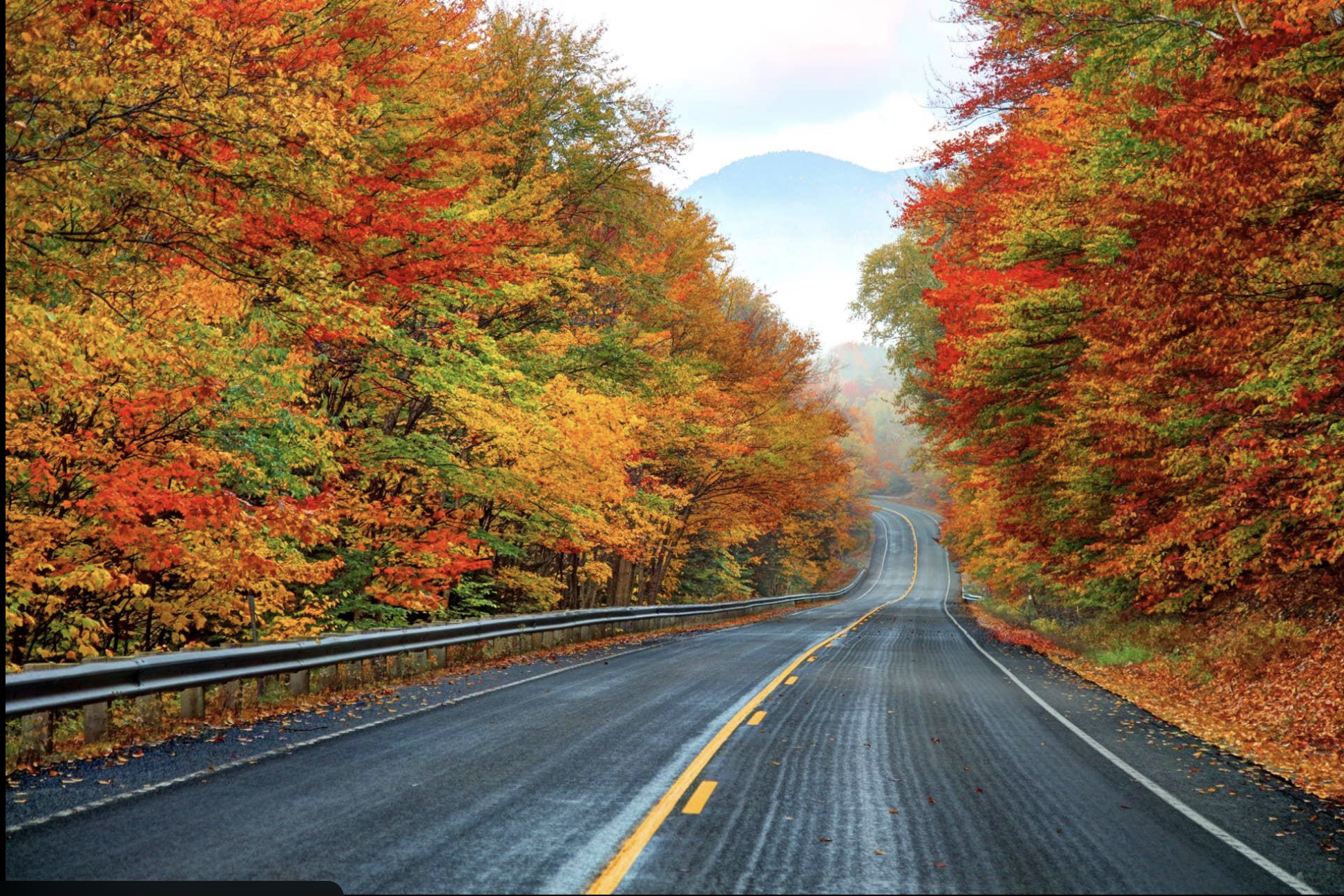 Experience the magic of Autumn in New England: Where to go and what to do header image.