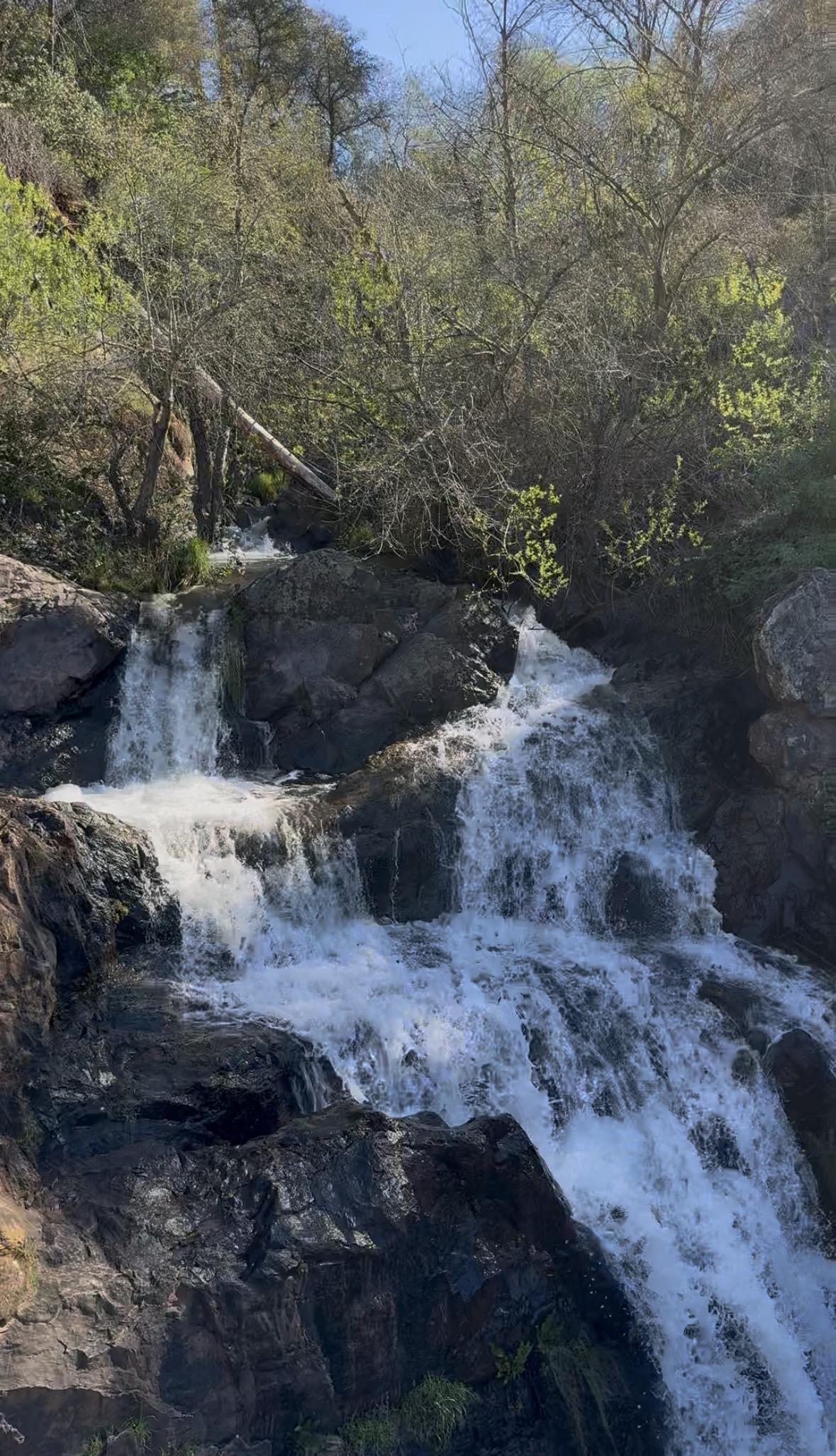 Living in Orangevale, CA: What Is It Really Like? header image.