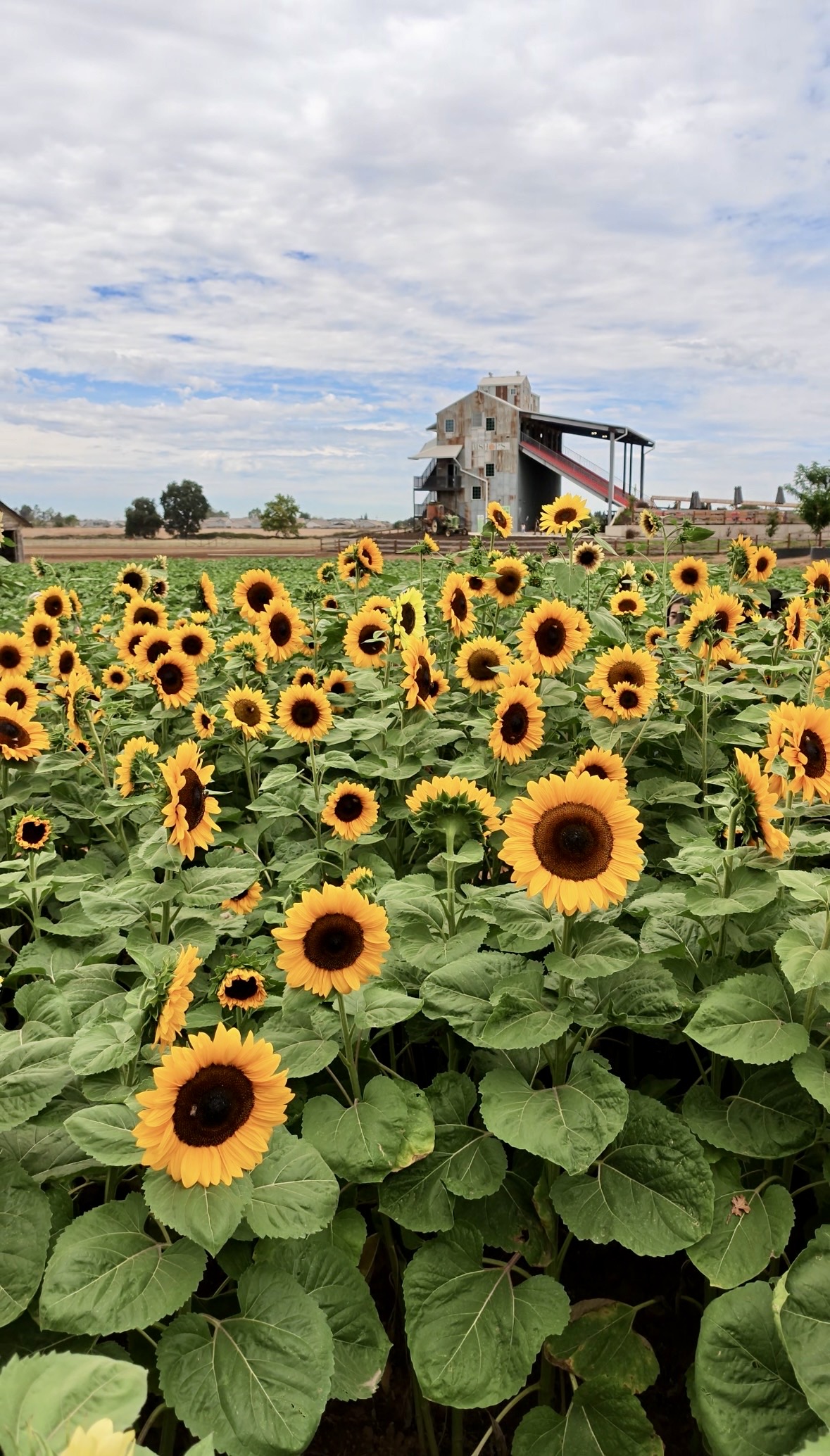 10 Things to Do in Placer County This Fall header image.