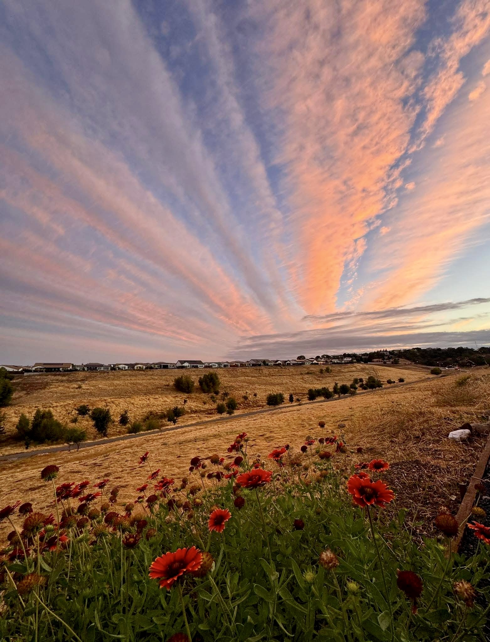 Moving to Lincoln, CA: What You Should Know Before You Make the Move header image.