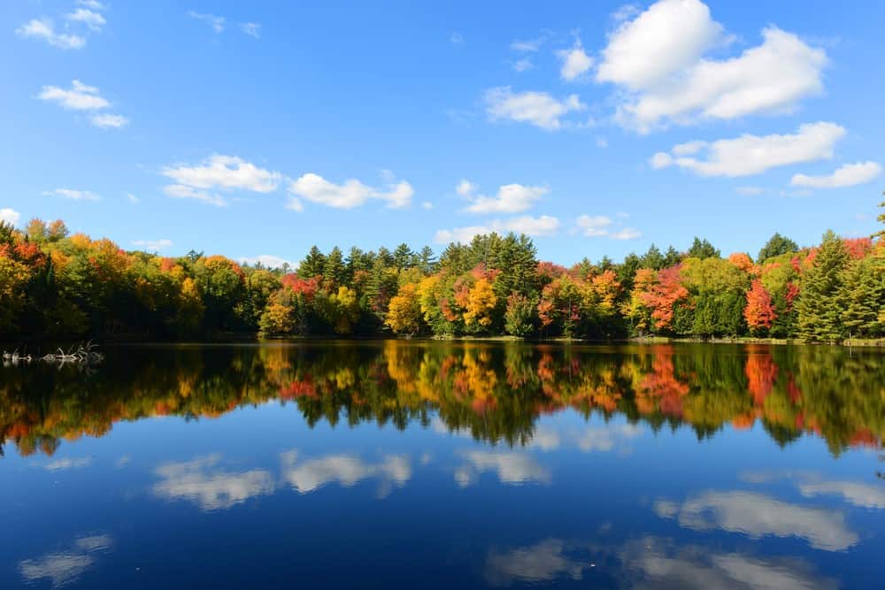 🌊 Why Lake Property Values Keep Rising in Minnesota header image.