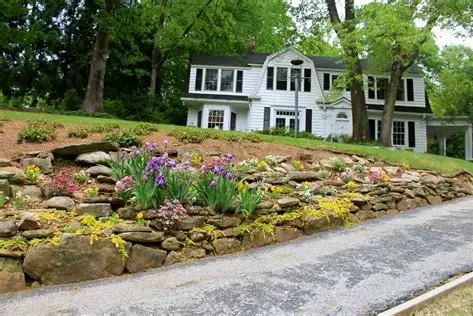 Why Buying a Home with Native Landscaping is a Smart Move in Atlanta header image.