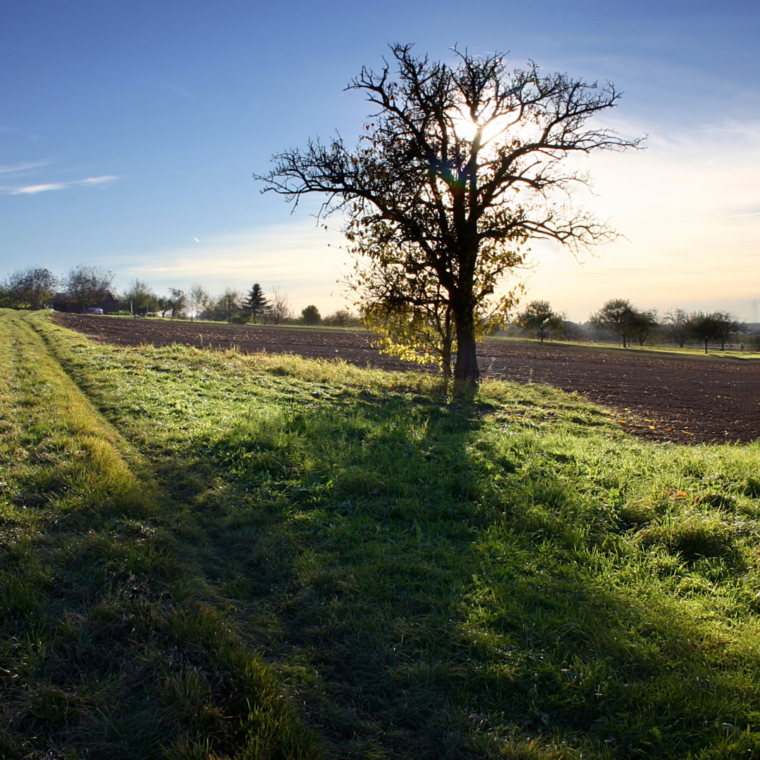 The Do’s and Don’ts of Buying Vacant Land header image.
