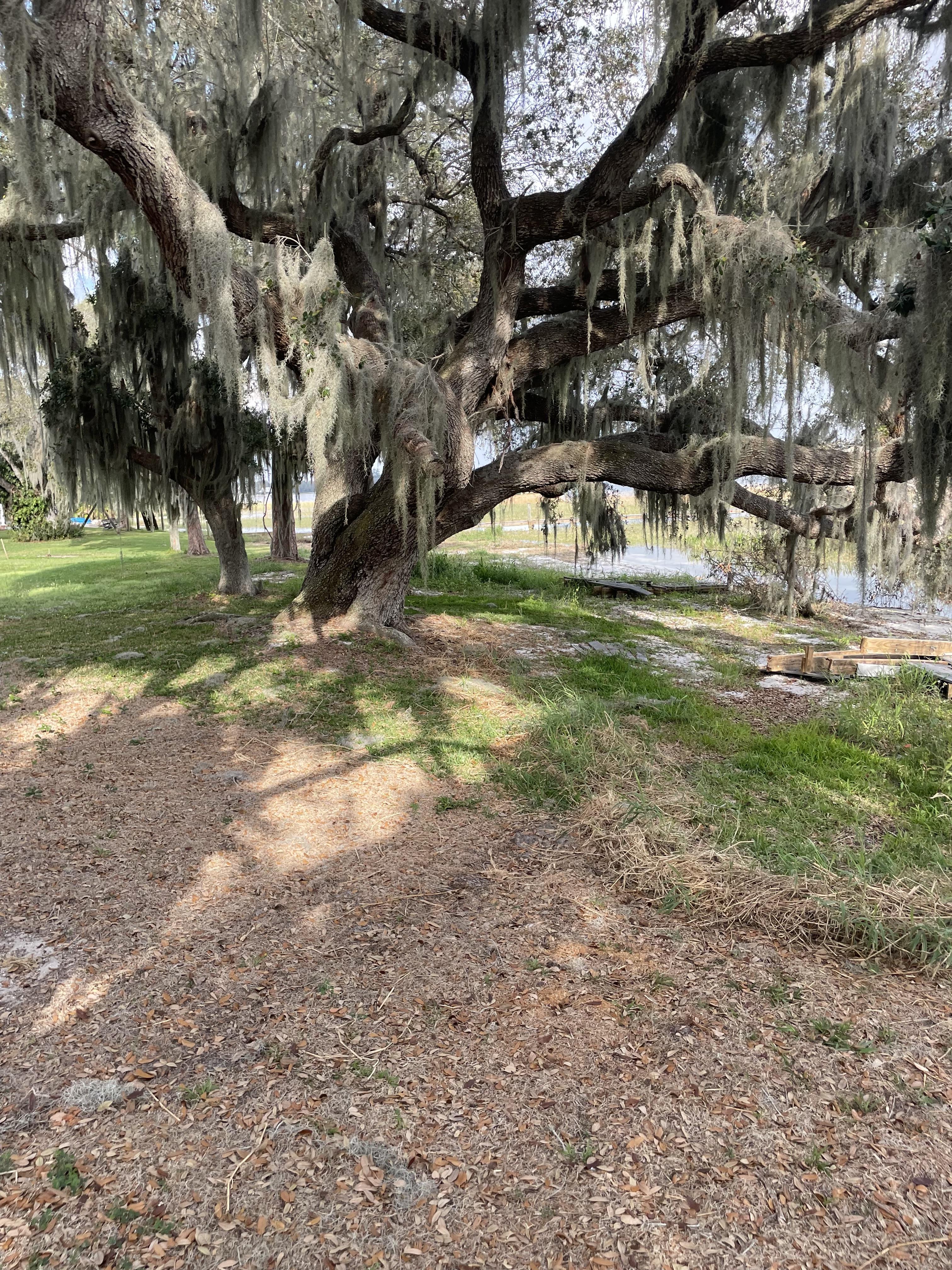 Vacant FL Land