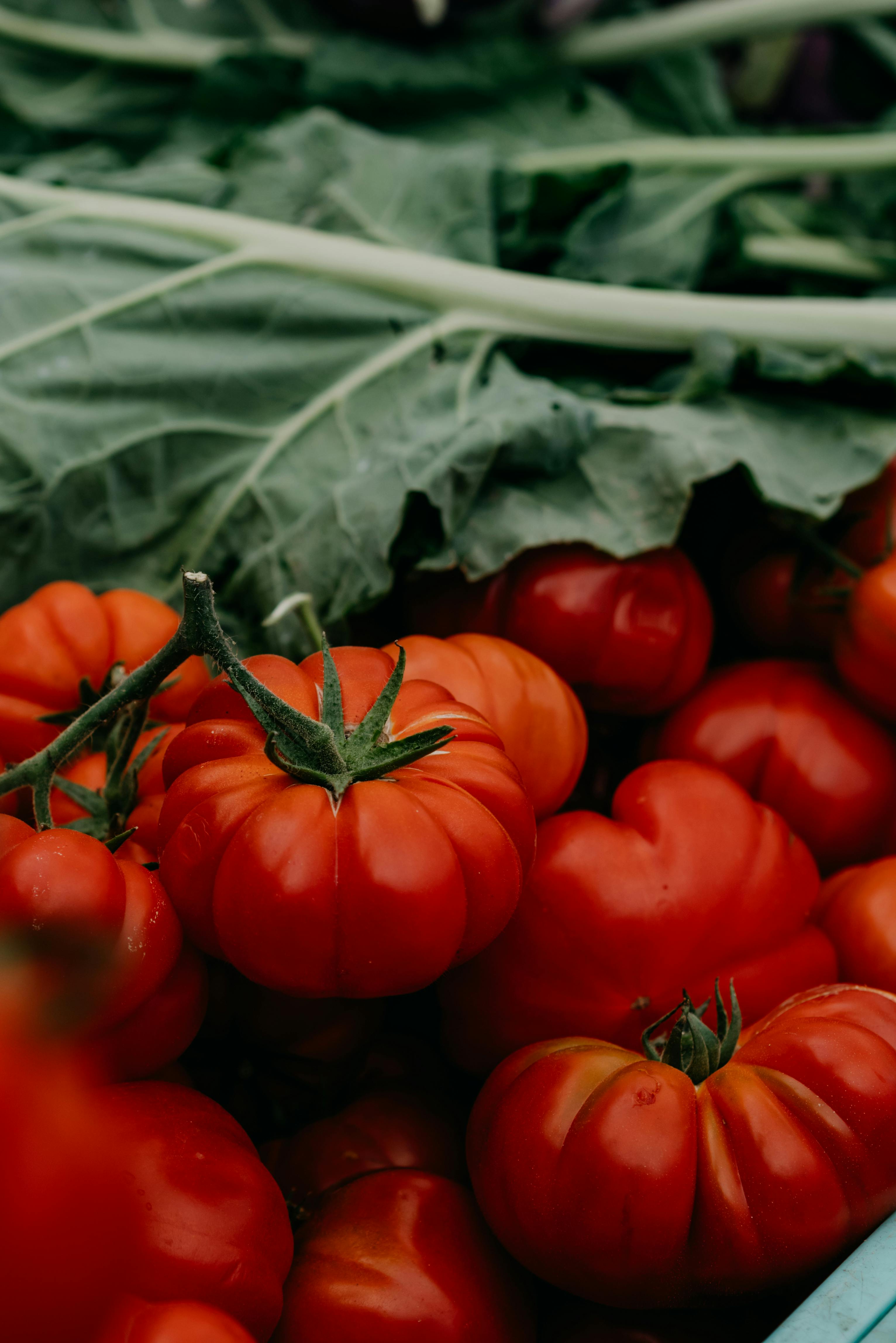 Simpsonville Farmers Market: Where Chaos Smells Like Peaches and Basil header image.