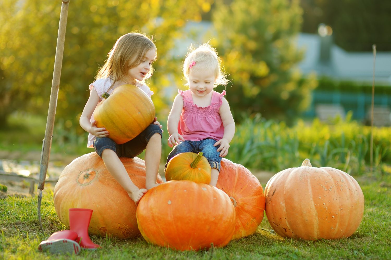 Fall Fun for Grapevine, Southlake and Surrounding Communities header image.