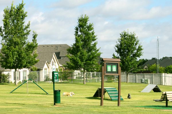 Calling All Dog Lovers, Dog Friendly Parks and Restaurants header image.