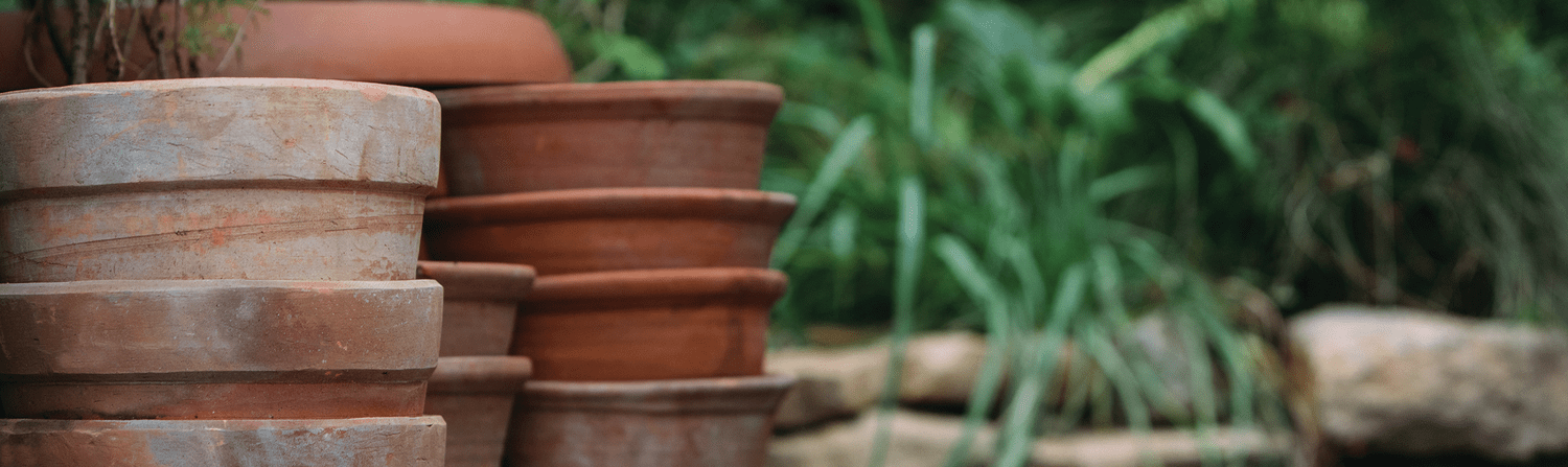 How to Create a Flexible Garden Design with Potted Plants header image.
