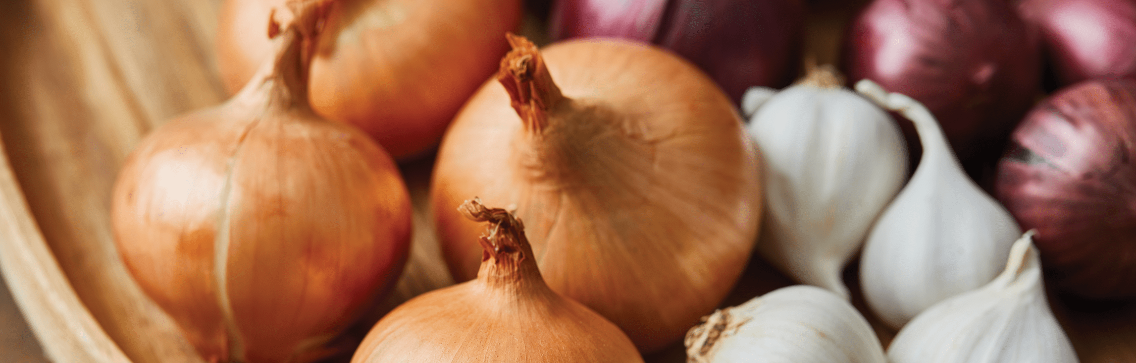 Photography provided by Marko Jan/E+/Getty Images