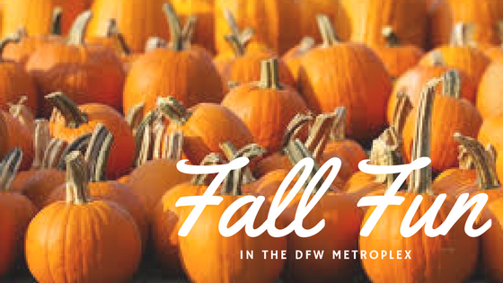 10 Fun Fall Activities in Tarrant County header image.